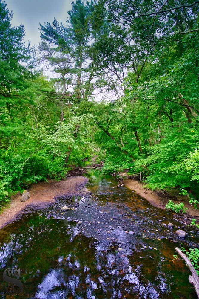 Acushnet sawmill.jpg