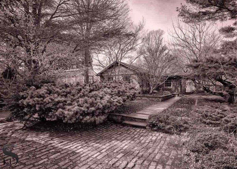 mono haskell gardens-4.jpg
