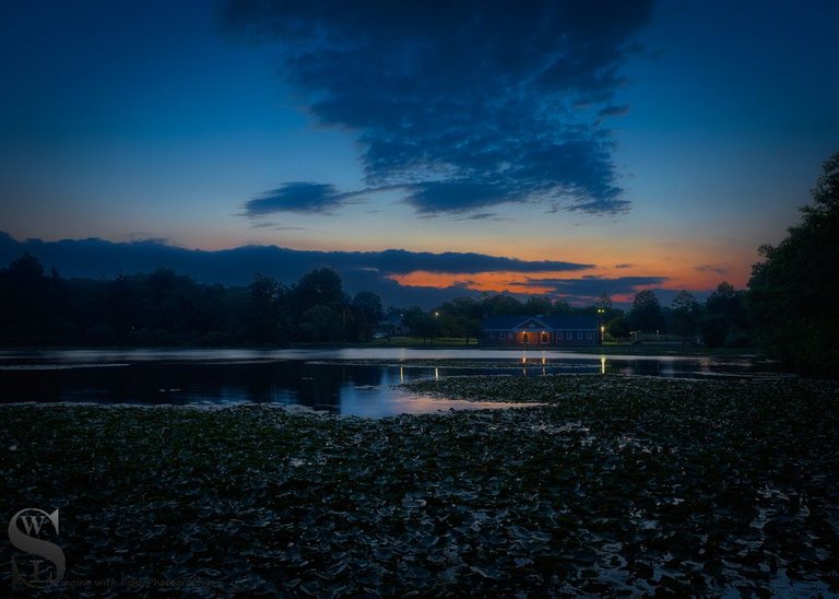 early morning buttonwood park-2.jpg