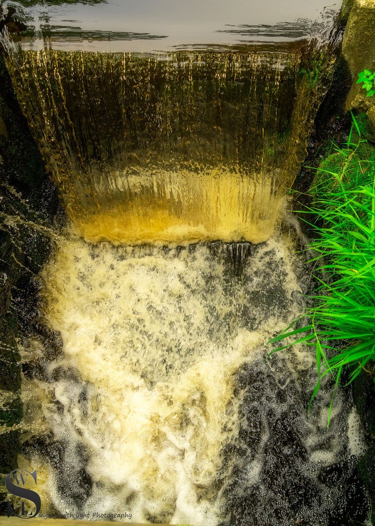 WW destruction brook trail-5.jpg
