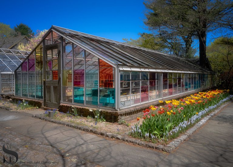 haskell gardens more-5.jpg