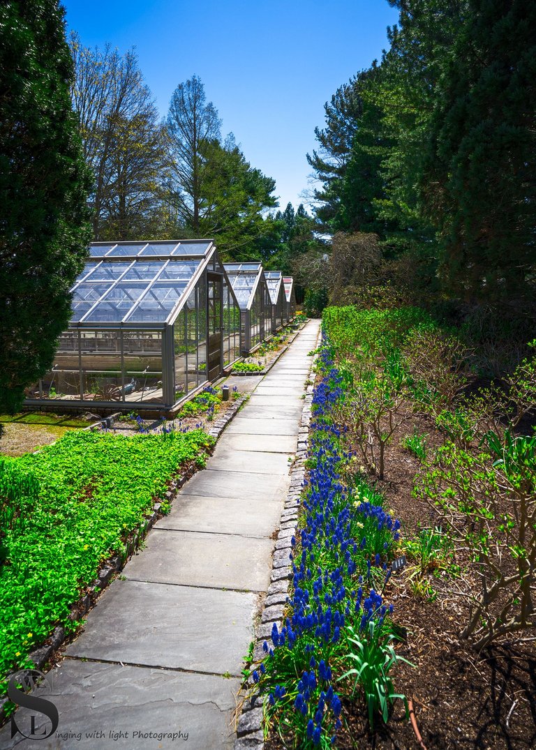 haskell gardens more.jpg