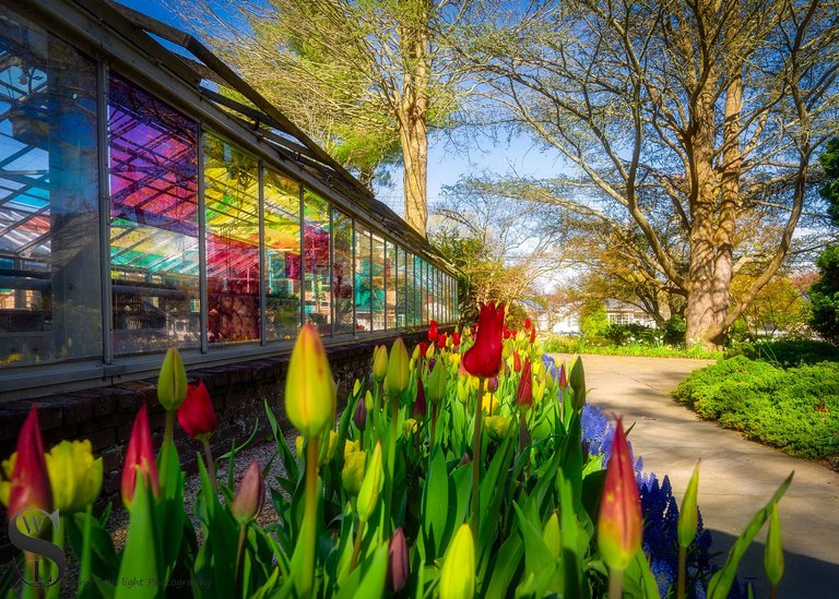 colorful greenhouse haskell gardens-5.jpg