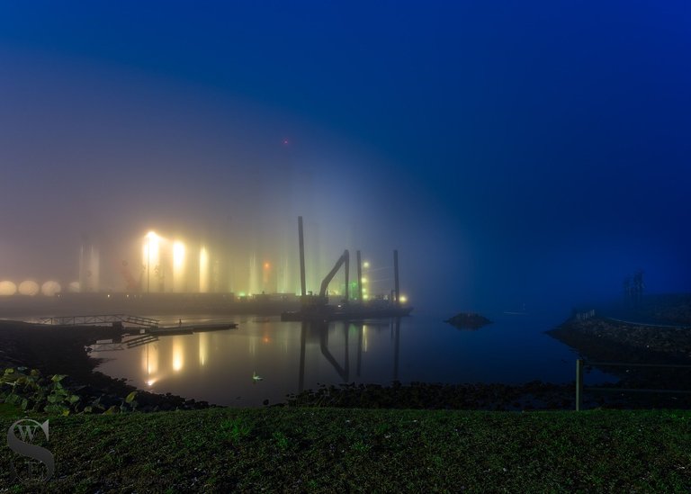 harbpr walk foggy-4.jpg