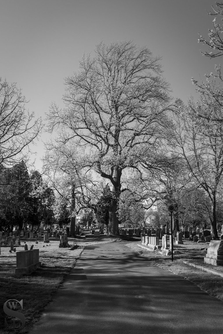 mono cemetery-4.jpg