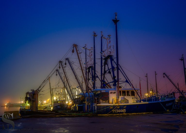 early morning at the port-4.jpg