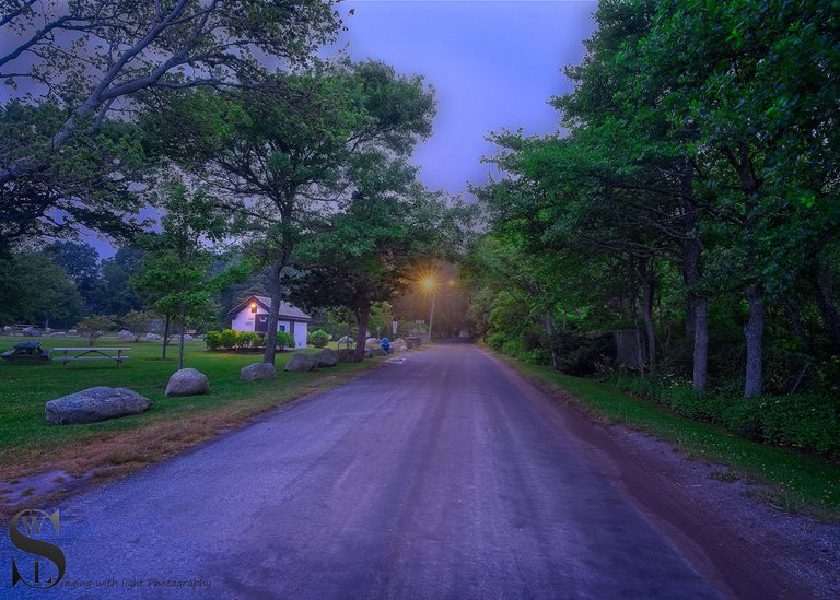 ww neds point early morning walk-4.jpg