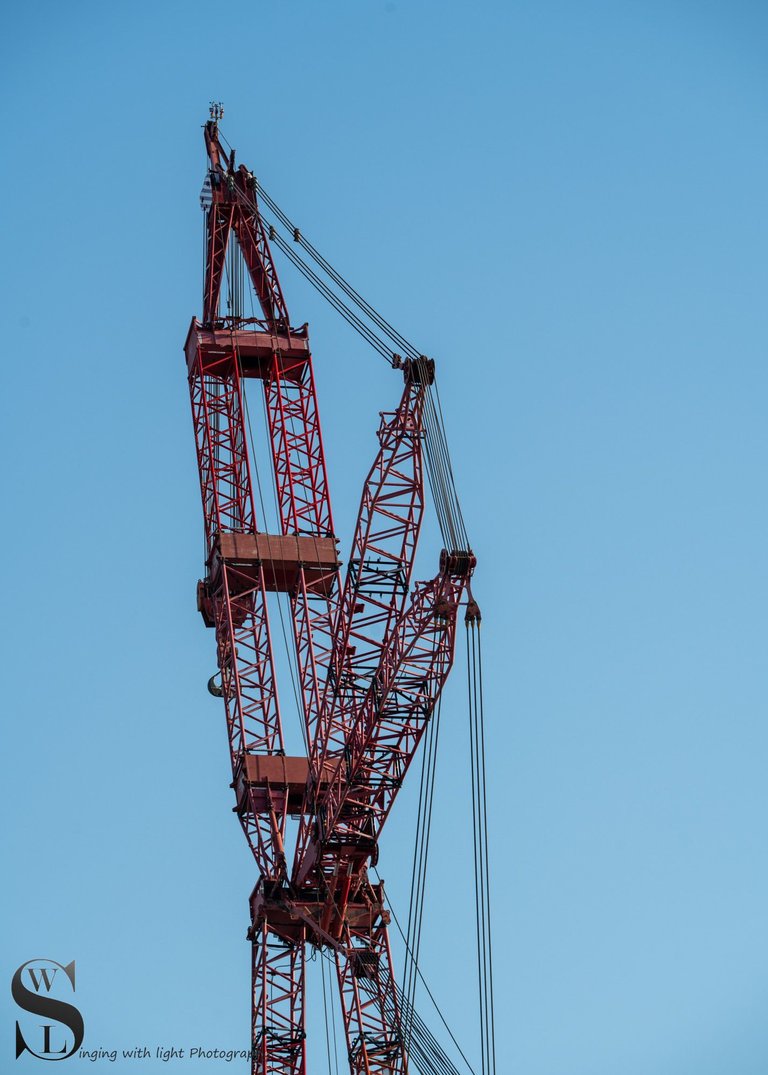 cranes-7.jpg