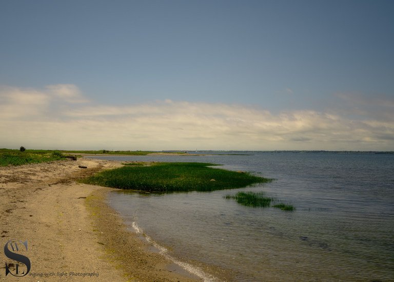 ww Winsegansett marshes the beach-6.jpg