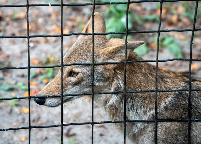at the zoo again-2.jpg