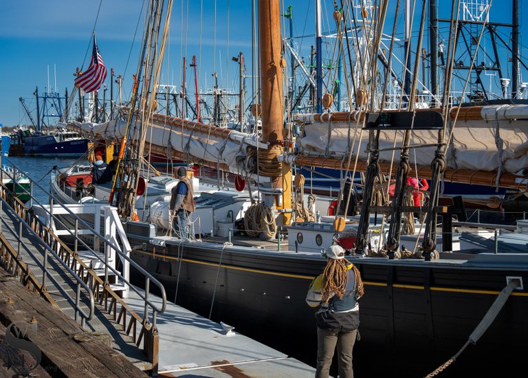 MF Ernestina morrisey-9.jpg