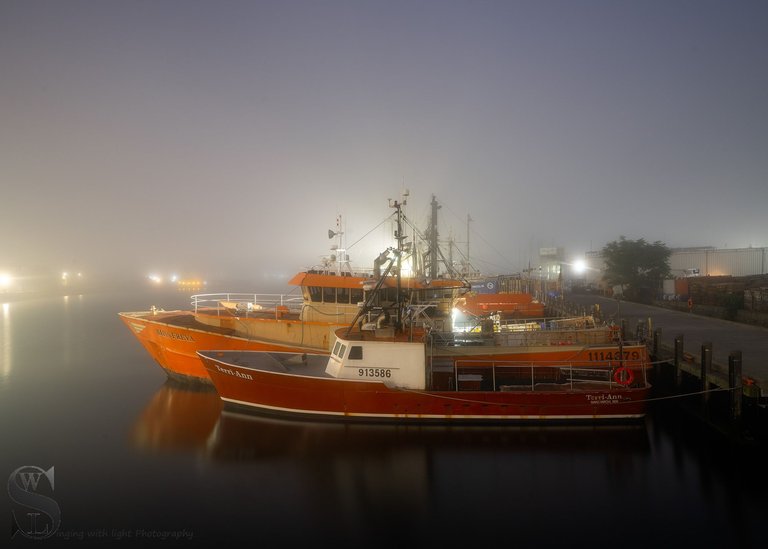 foggy on popes island-4.jpg