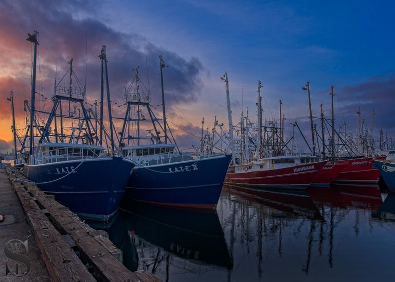 early morning port_-4.jpg