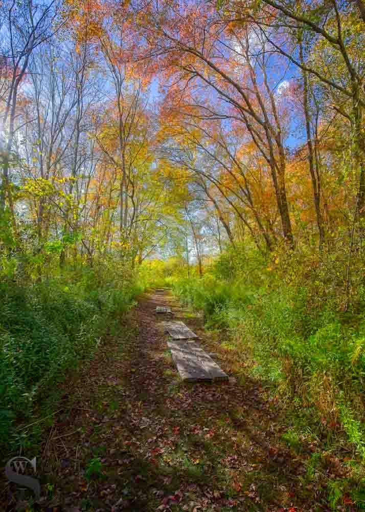 sawmill in fall-5.jpg