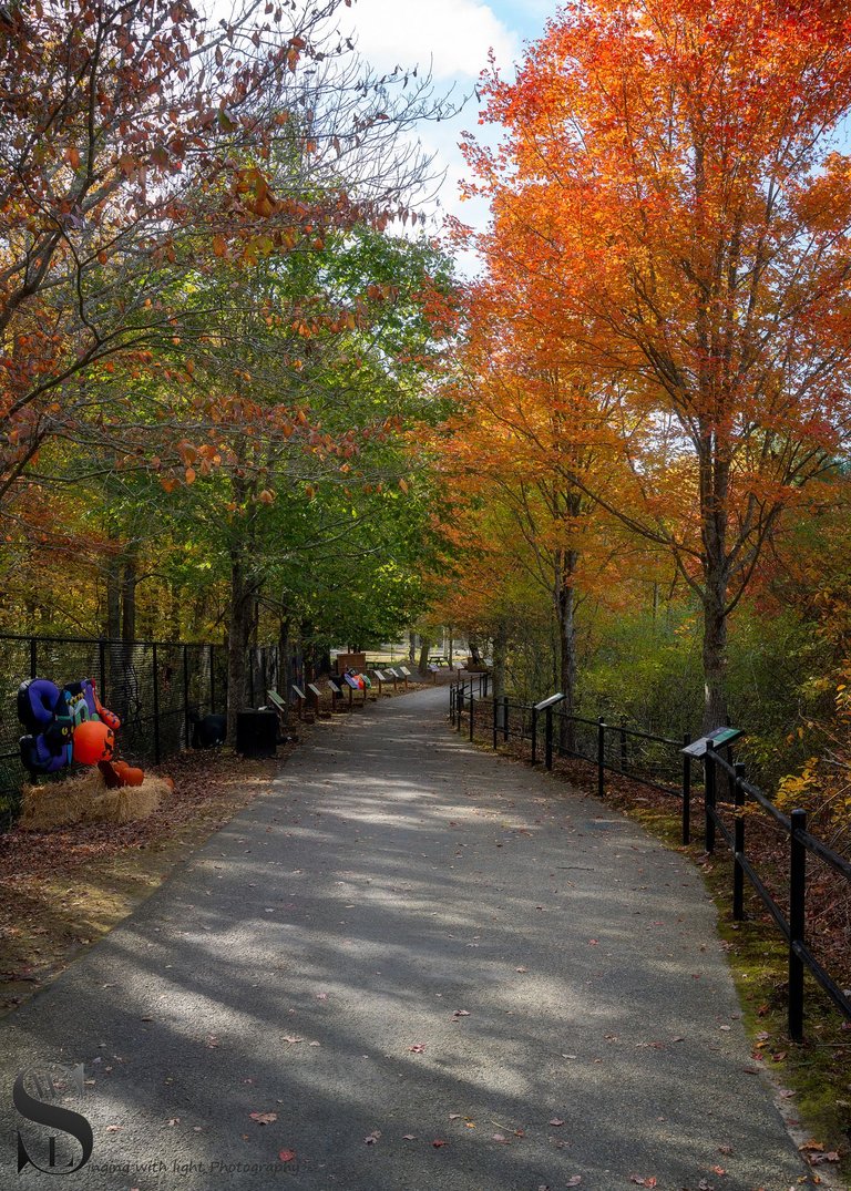 zoo fall colors_-3.jpg