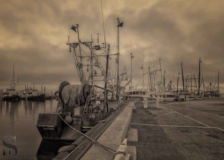 mono at port-5.jpg