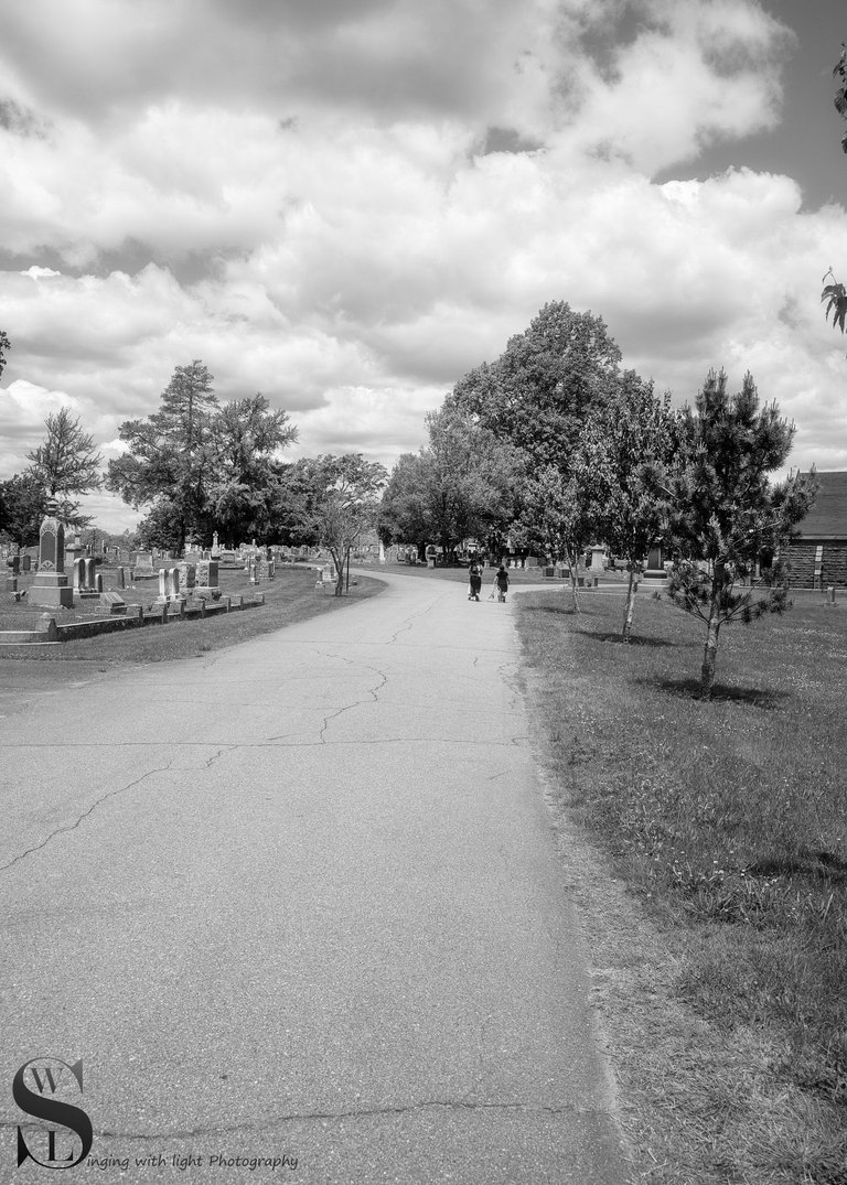 mono here and there-3.jpg
