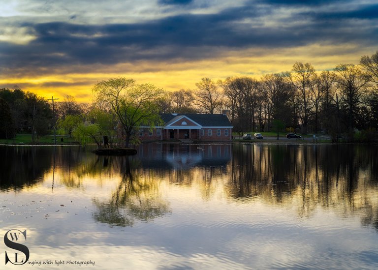 spring buttonwood-1.jpg