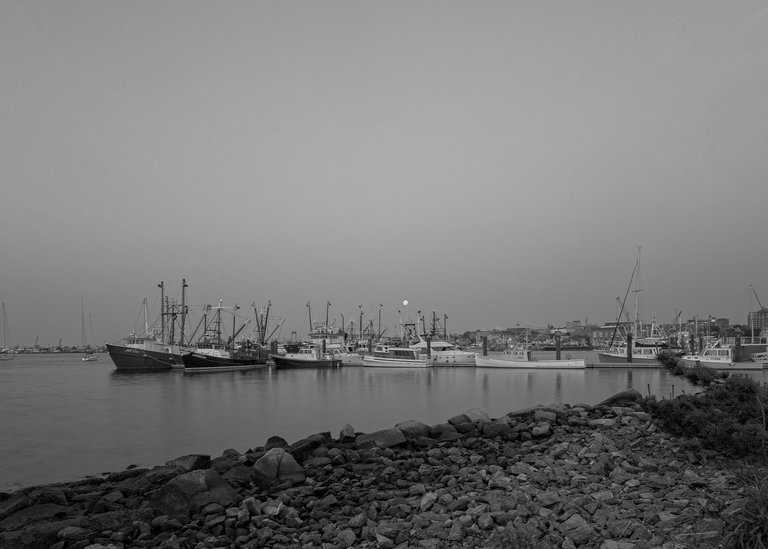mono recent walks-5.jpg