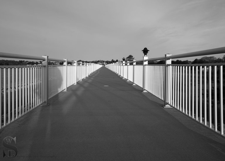 a few recent mono images-3.jpg
