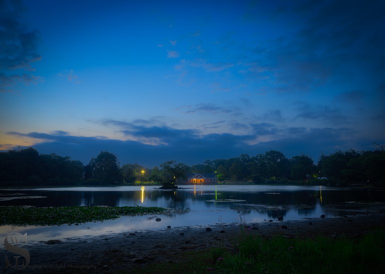 early morning buttonwood park.jpg