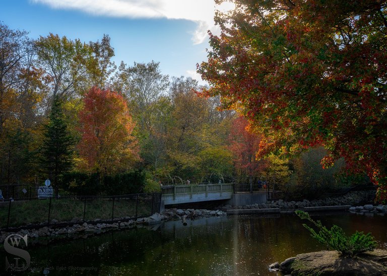 zoo fall colors_-4.jpg