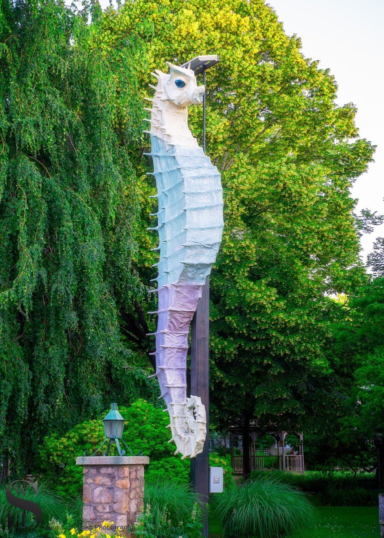 Dunseith gardens and the seahorse-4.jpg