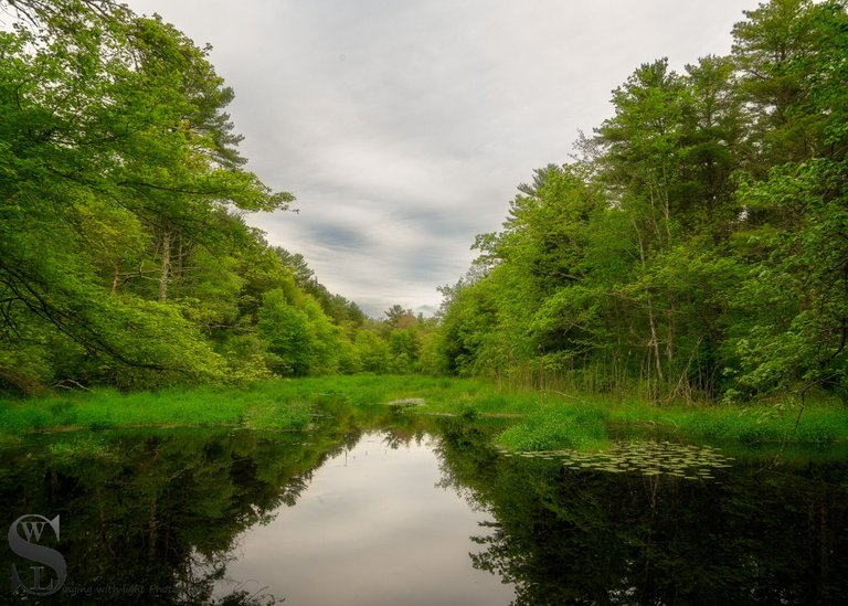 WW destruction brook trail-3.jpg