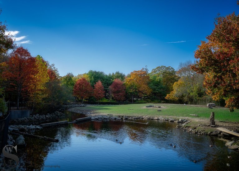 zoo fall colors_-5.jpg