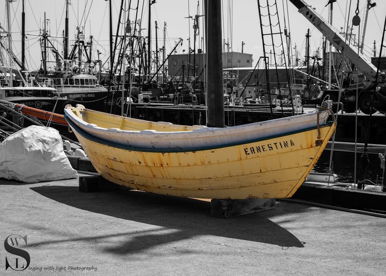 at the port-4.jpg