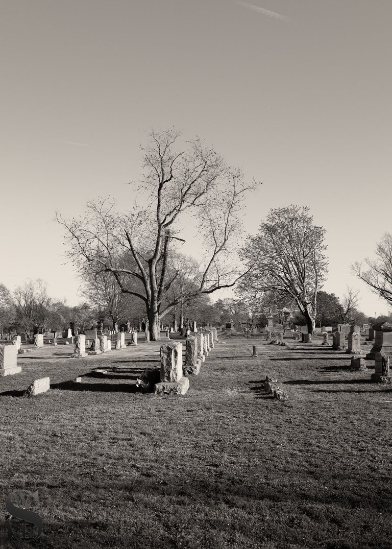mono cemetery-5.jpg