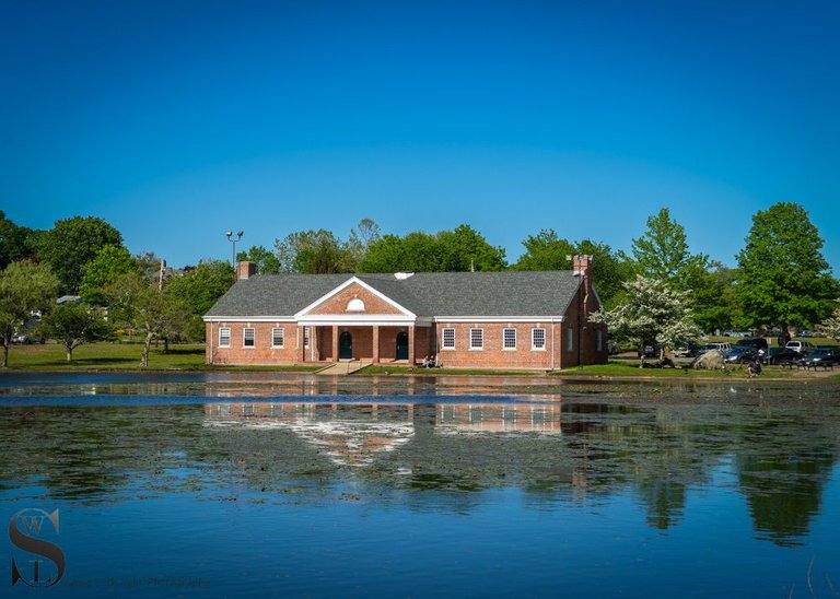 pond at Buttonwood Park.jpg