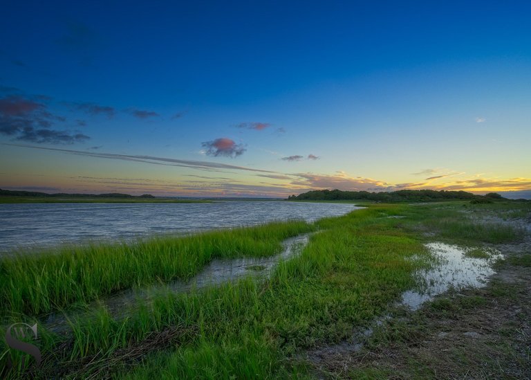 thurs West island Marsh-4.jpg