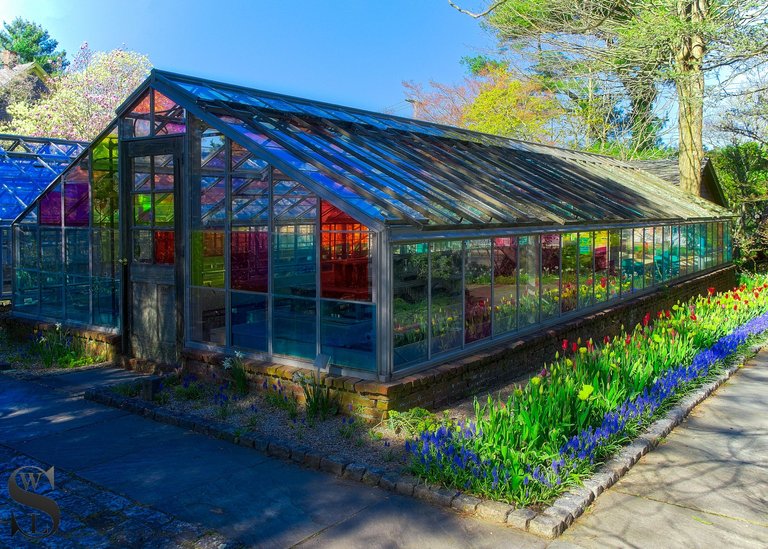 colorful greenhouse haskell gardens-3.jpg