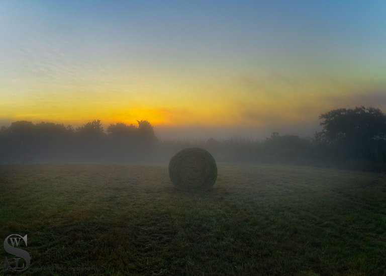 foggy at Allens Pond-3.jpg