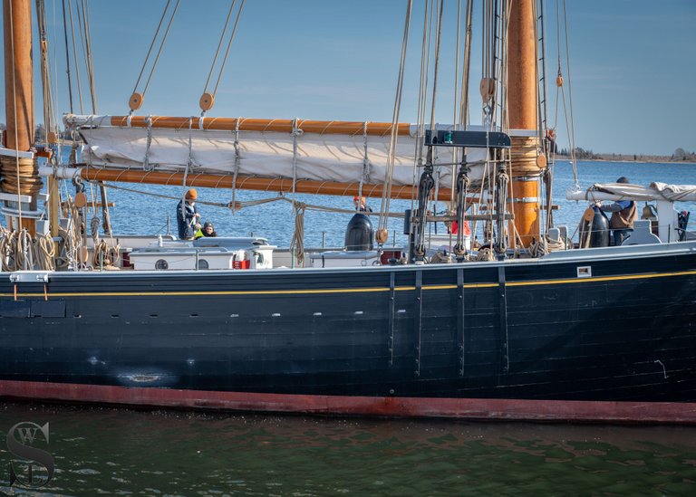 MF Ernestina morrisey-8.jpg