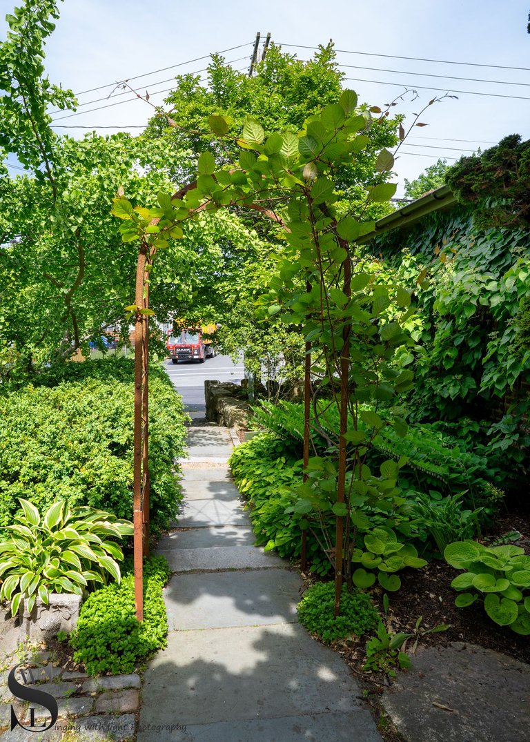 haskell gardens-5.jpg