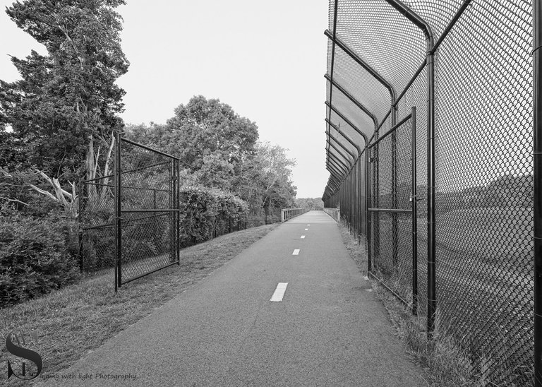 mono some recent.jpg