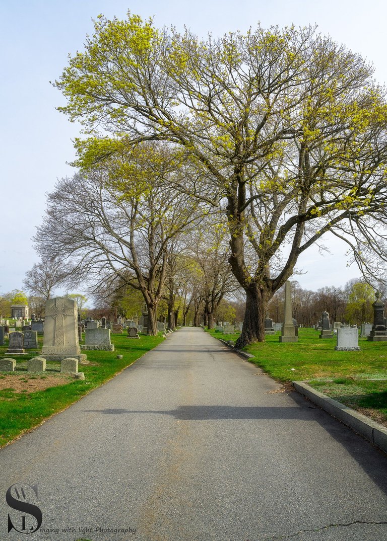 ww St marys Cemetery-8.jpg