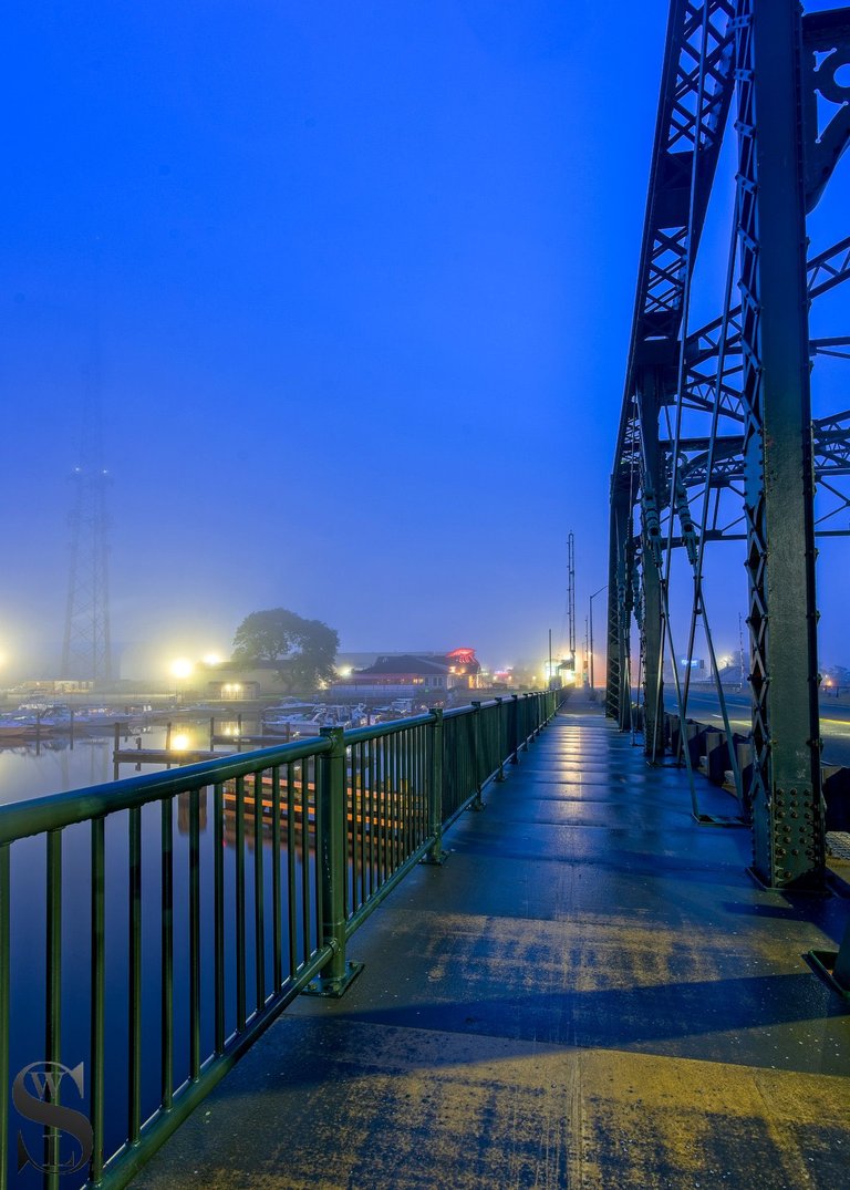 foggy on popes island-3.jpg