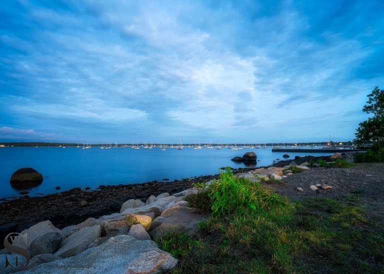 ww neds point_-4.jpg