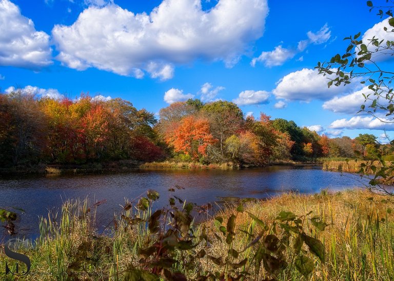 more fall colors at the sawmill-4.jpg