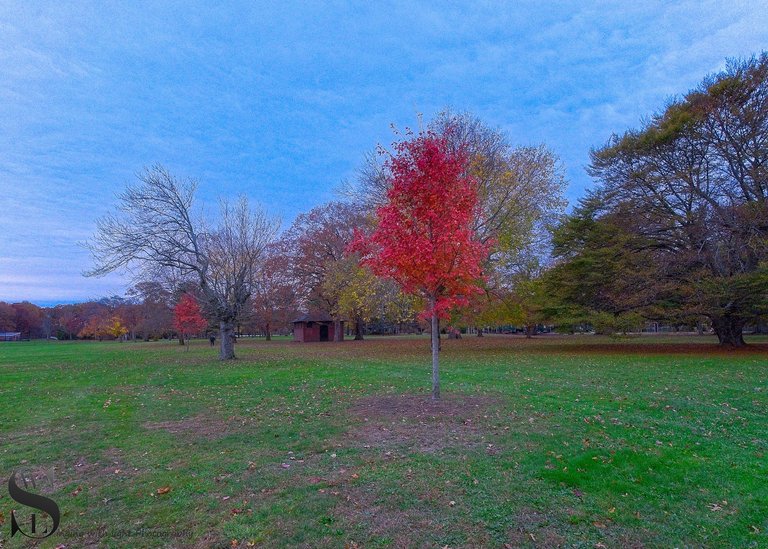 more fall colors-5.jpg