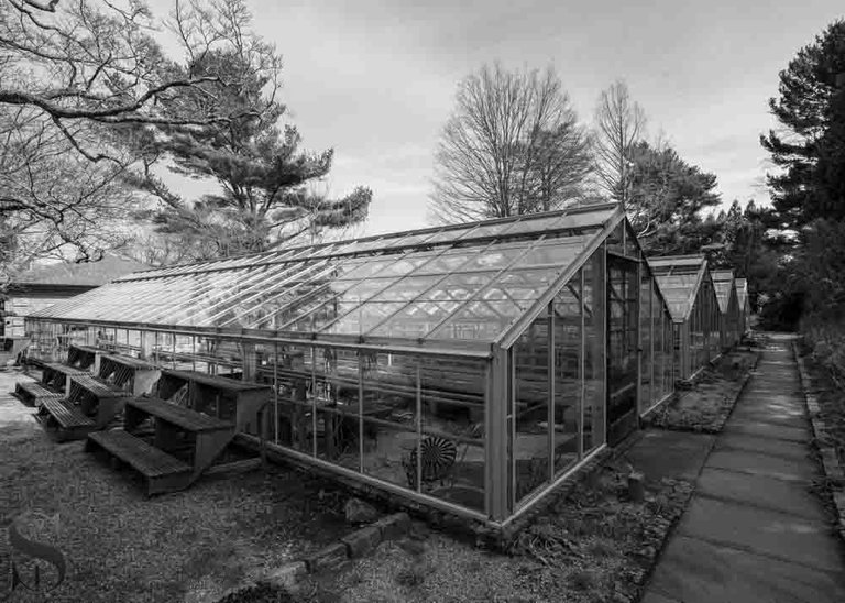 mono haskell gardens-2.jpg