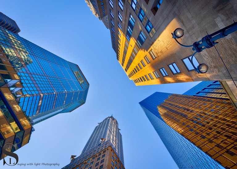 looking up NYC-3.jpg