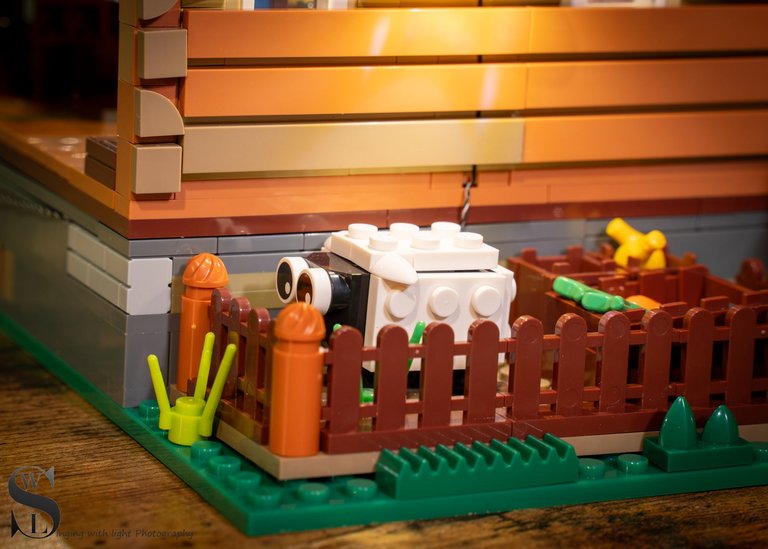 wood cabin-5.jpg