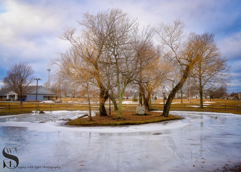 icy pond-3.jpg