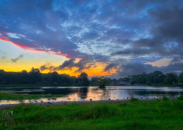 early morning buttonwood park-5.jpg