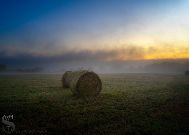 foggy at Allens Pond-2.jpg