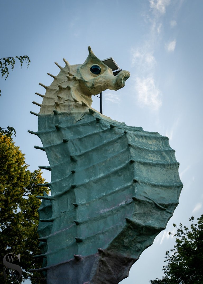 Dunseith gardens and the seahorse-5.jpg